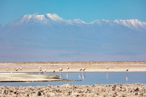 Atacama Desert
